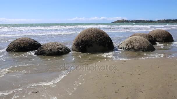 Сферические скалы на пляже Koekohe — стоковое видео
