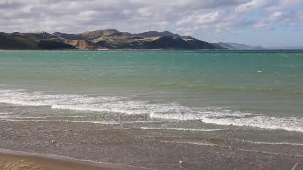 Castlepoint Beach - Nova Zelândia — Vídeo de Stock