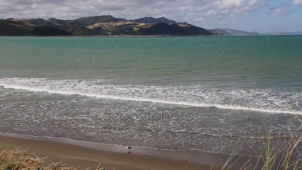 Costa de Wairarapa - Castlepoint — Vídeos de Stock