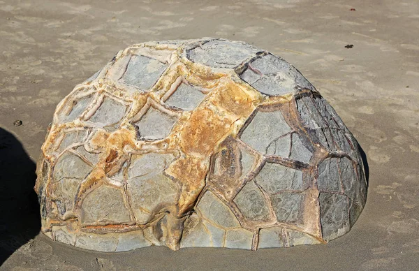 Aşınmış Kaya Moeraki Boulders Üzerinde Koekohe Beach Yeni Zelanda — Stok fotoğraf