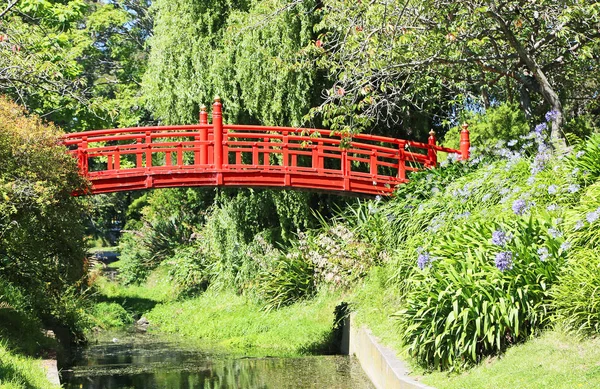 Японська Червоний Міст Оамару Громадський Сад Нова Зеландія — стокове фото