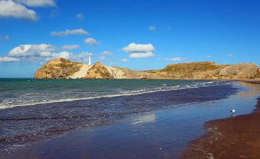 Castlepoint deniz feneri, Yeni Zelanda