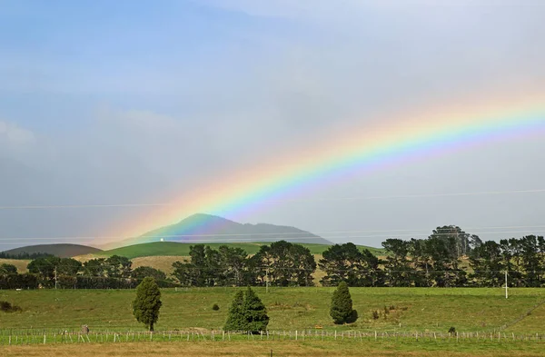 Arc Ciel Sur Les Arbres Nouvelle Zélande — Photo