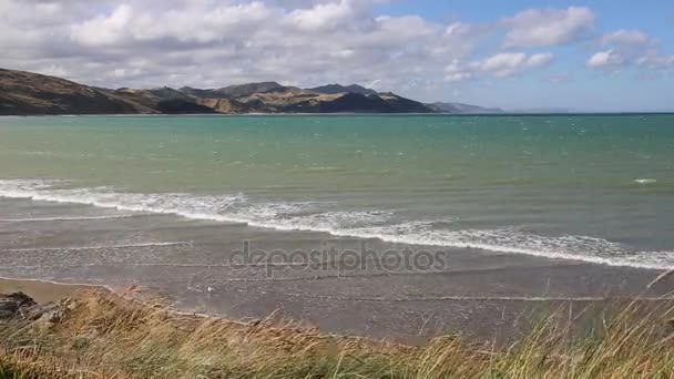 Wairarapa Bay Castlepoint New Zealand — Stock Video