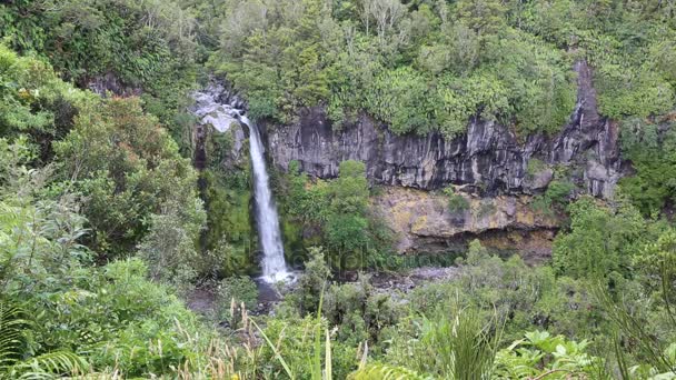 Dawson Falls Taranaki Nueva Zelanda — Vídeo de stock