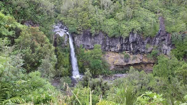 Dawson Fällt Taranaki Neuseeland — Stockvideo