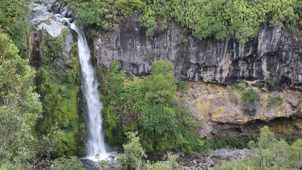 Dawson Falls Nieuw Zeeland — Stockvideo