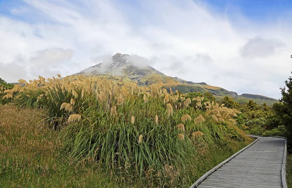 Μονοπάτι Στο Taranaki Έγκμοντ Εθνικό Πάρκο Νέα Ζηλανδία — Φωτογραφία Αρχείου