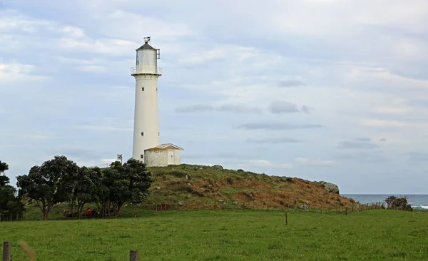 Phare Sur Une Falaise Phare Cap Egmont Nouvelle Zélande — Photo