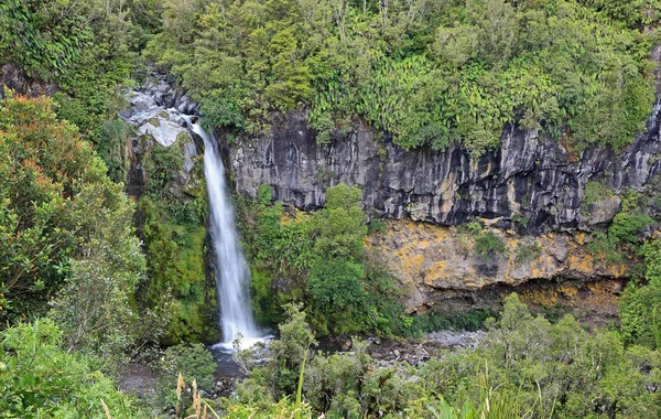 Dawson Faller Taranaki Nya Zeeland — Stockfoto