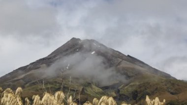 MT Egmont krater - Yeni Zelanda