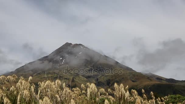Монтский Конус Новая Зеландия — стоковое видео