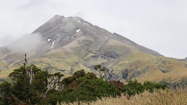 Taranaki Egmont New Zealand — Stock Video