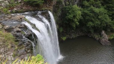 Whangarei Falls yukarıdaki - north Island, Yeni Zelanda