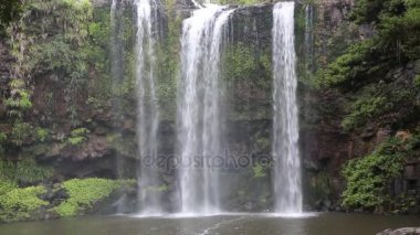 Whangarei Falls - north Island, Yeni Zelanda