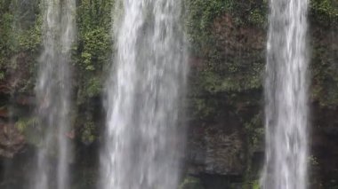 Whangarei Falls yakın up - north Island, Yeni Zelanda