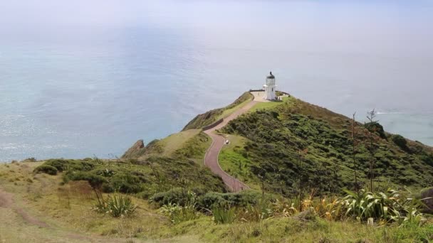 Sendero Faro Isla Norte Nueva Zelanda — Vídeo de stock