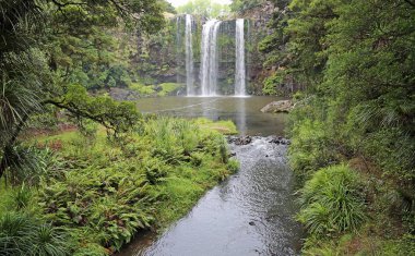 Manzara ile Falls Whangarei, Yeni Zelanda