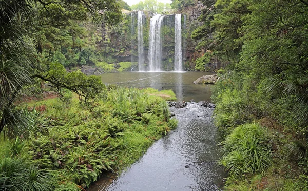 Landskap Med Whangarei Falls Nya Zeeland — Stockfoto