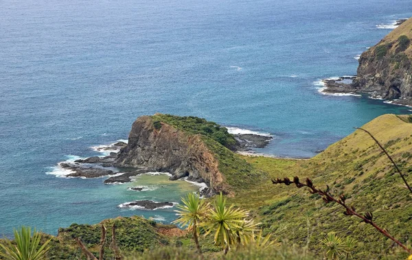 Rock North Coast Cape Reinga New Zealand — Stock Photo, Image