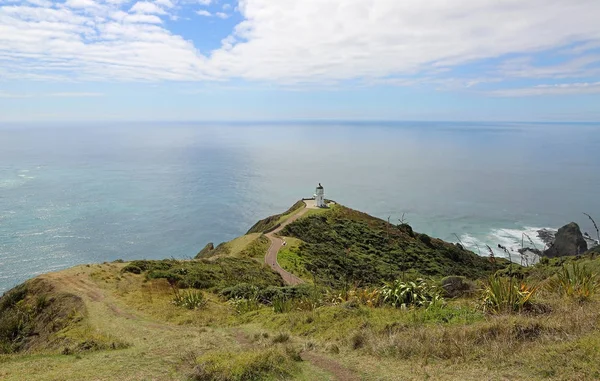 Trail Cape Reinga New Zealand — Stock Photo, Image