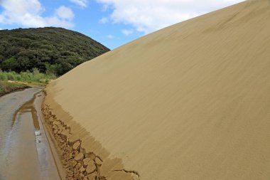 Dune Tarih Te Pakistanlı akarsu - Te Pakistanlı rezerv, Cape Reinga, Yeni Zelanda