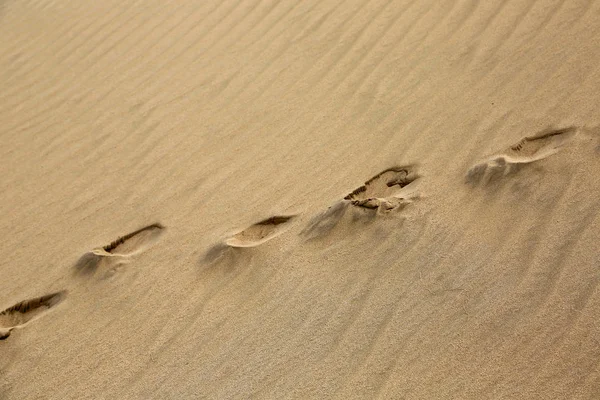 Human Tracks Sand Dune Paki Reserve Cape Reinga New Zealand — Stock Photo, Image