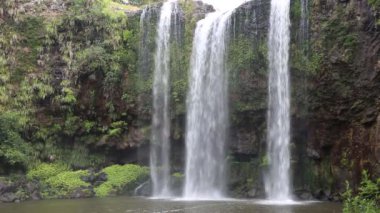 Whangarei Falls - Yeni Zelanda