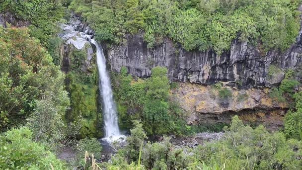 Dawson Falls Nieuw Zeeland — Stockvideo