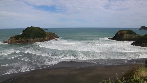 Motuotamatea Waves Sugar Loaf Islands New Zealand — Stock Video