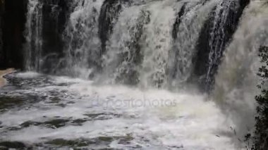 Haruru Falls - Yeni Zelanda