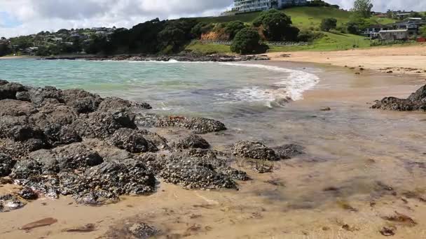 Coopers Beach Nowa Zelandia — Wideo stockowe