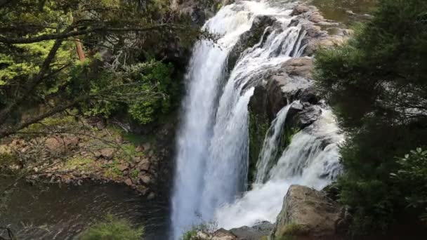 Rainbow Falls d'en haut - Nouvelle-Zélande 