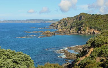 Kayalık sahilleri, Helena Bay - Yeni Zelanda