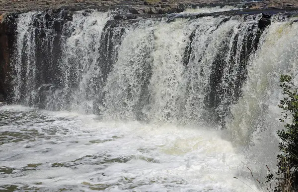 Haruru Falls Nowa Zelandia — Zdjęcie stockowe