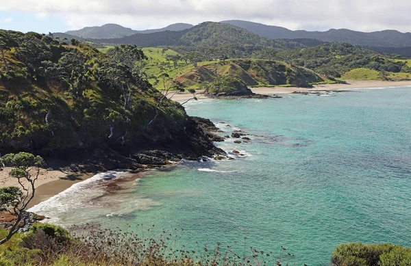 Скелі Єлени Бей Нова Зеландія — стокове фото