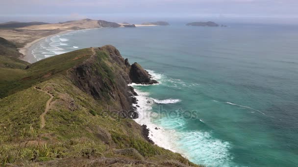 Cape Maria Van Diemen Yeni Zelanda — Stok video