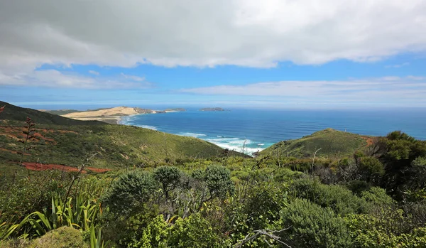 Bekijken Werahi Beach Cape Maria Van Diemen Cape Reinga Nieuw — Stockfoto