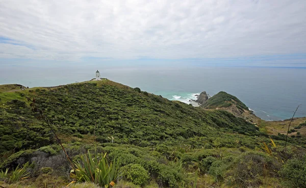 Deniz Feneri Cape Reinga Yeni Zelanda — Stok fotoğraf
