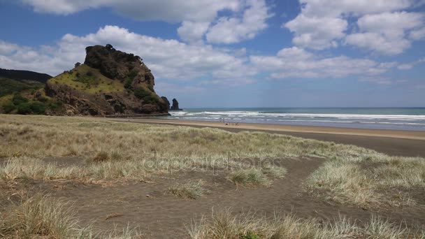 Piha Beach Nova Zelândia — Vídeo de Stock