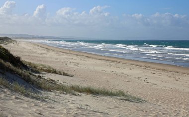 Waipu Beach - Yeni Zelanda