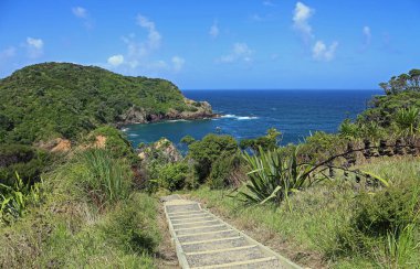 Tutukaka Head, Yeni Zelanda için iz