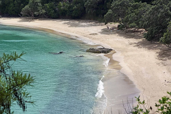 Whale Bay Beach New Zealand — Stock Photo, Image