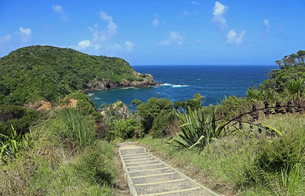 Trail Tutukaka Head New Zealand — Stock Photo, Image