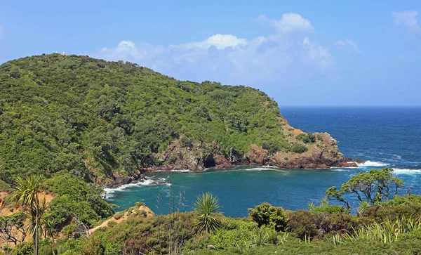 Tutukaka Head New Zealand — Stock Photo, Image