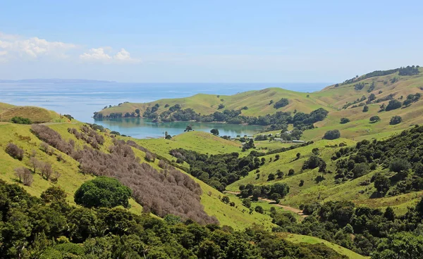 Kirita Бей Coromandel Півострова Нова Зеландія — стокове фото