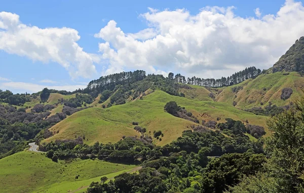 Дорога Між Зеленими Пагорбами Coromandel Півострова Нова Зеландія — стокове фото