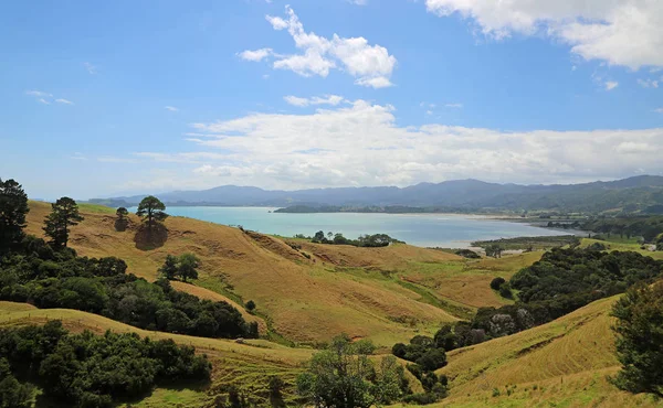 Пейзаж Coromandel Порту Coromandel Півострова Нова Зеландія — стокове фото