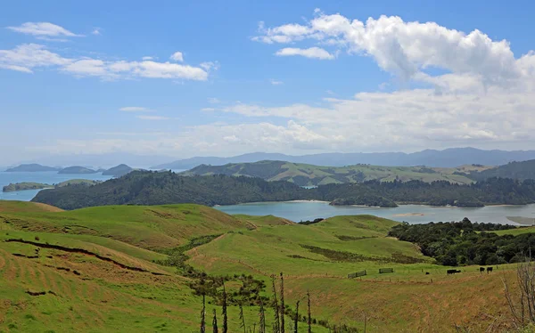 Manaia Бей Coromandel Півострова Нова Зеландія — стокове фото