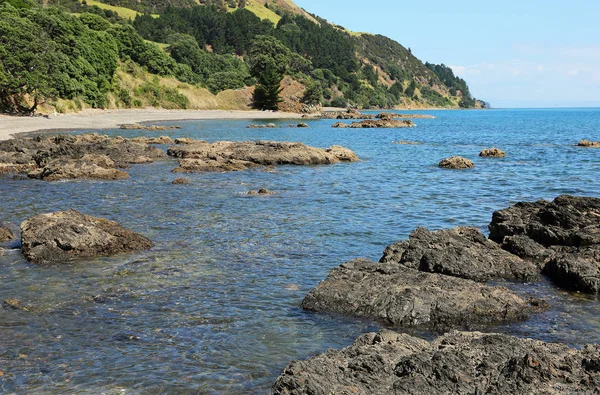 Volcanic rock on the beach - Coromandel Peninsula, New Zealand